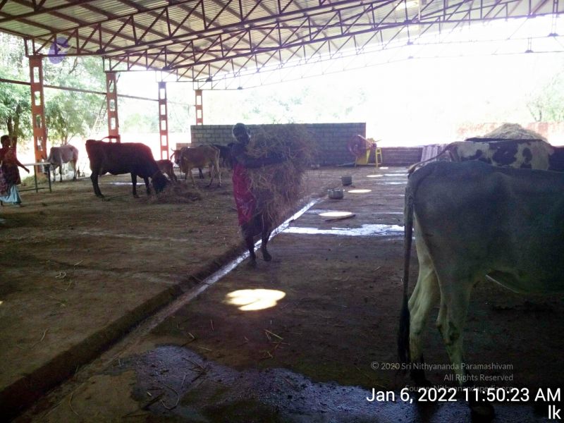 File:20220106 115023 11.jpg