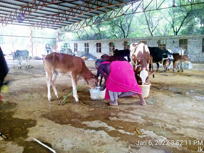 File:20220106 155211 11.jpg