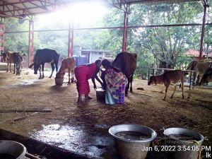 20220106 155405 11.jpg