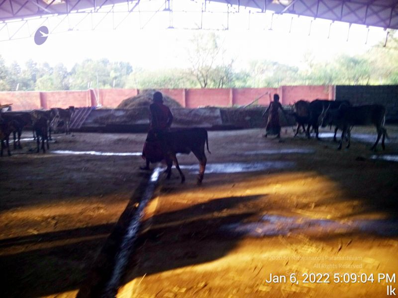 File:20220106 170904 11.jpg