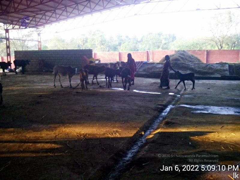 File:20220106 170910 11.jpg