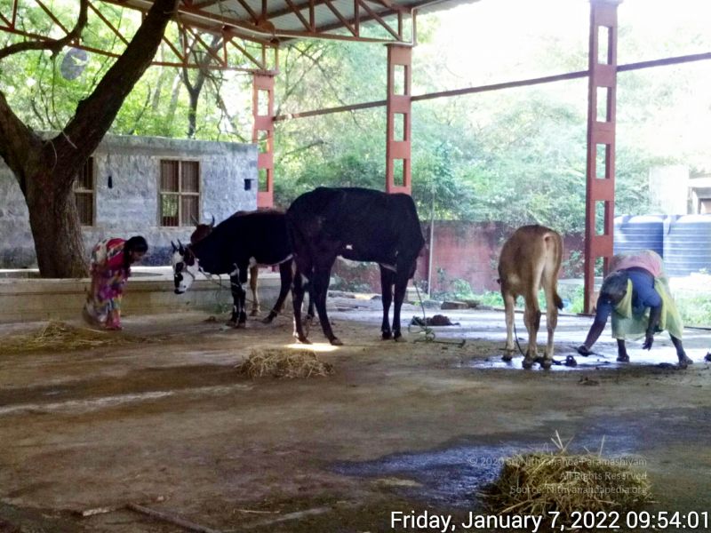 File:20220107 095400 11.jpg