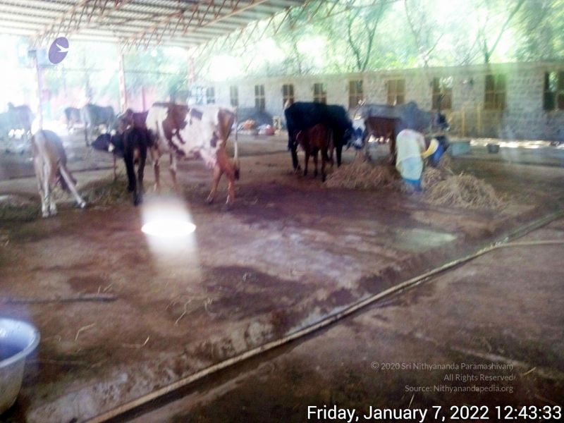 File:20220107 124332 11.jpg