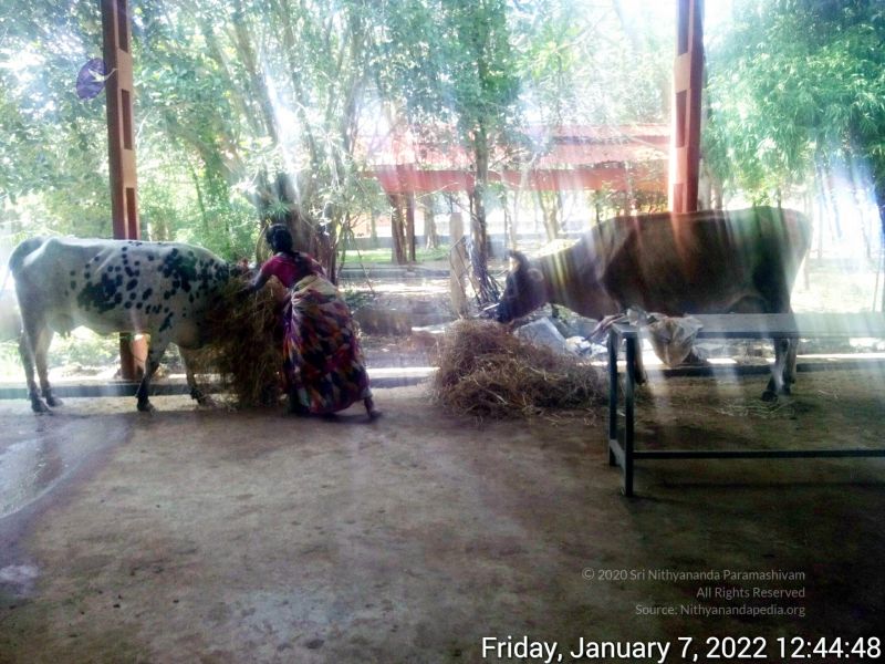 File:20220107 124447 11.jpg