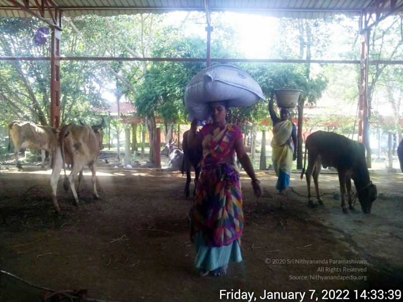 File:20220107 143338 11.jpg