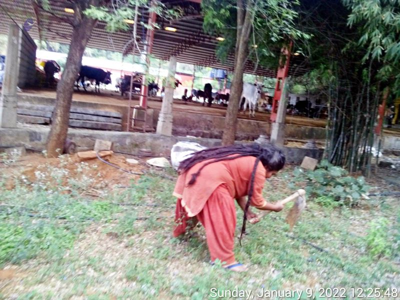 File:20220109 122547 11.jpg