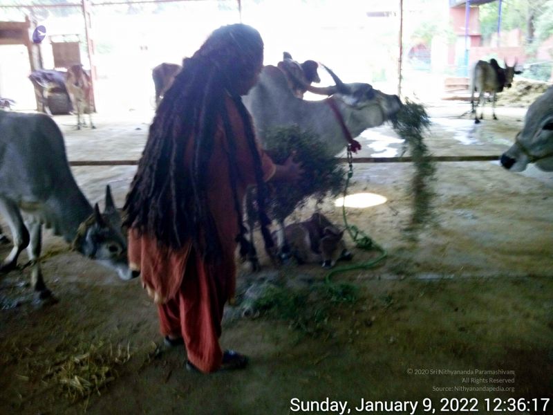 File:20220109 123616 11.jpg