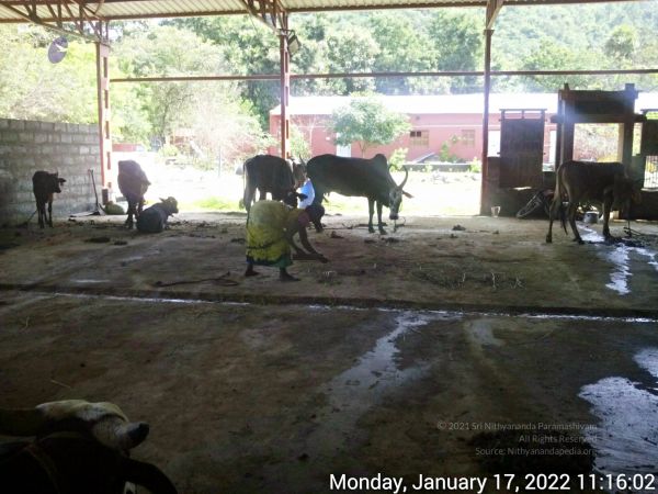 20220117 111601 11.jpg