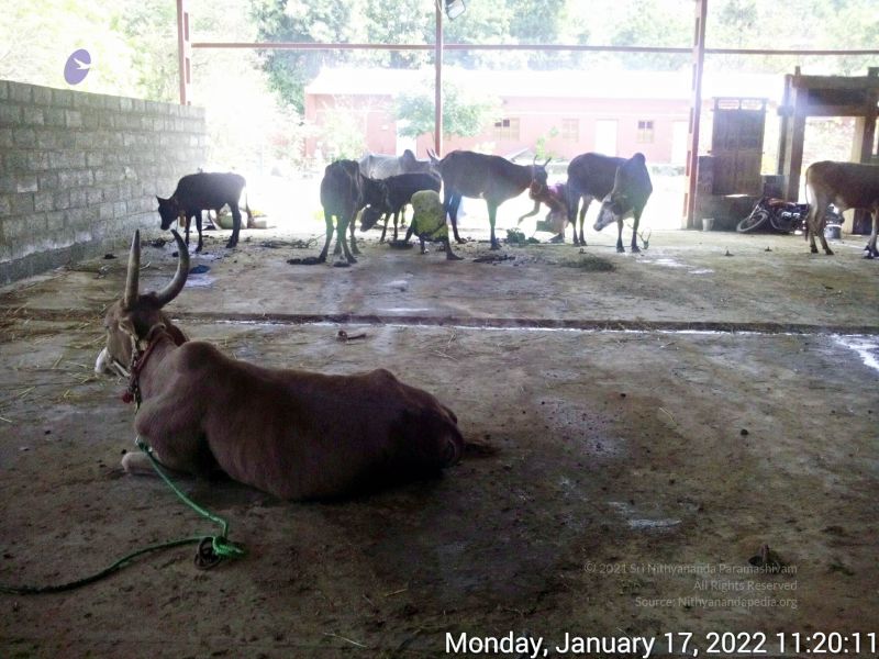 File:20220117 112011 11.jpg