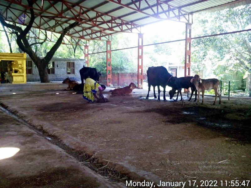 File:20220117 115546 11.jpg