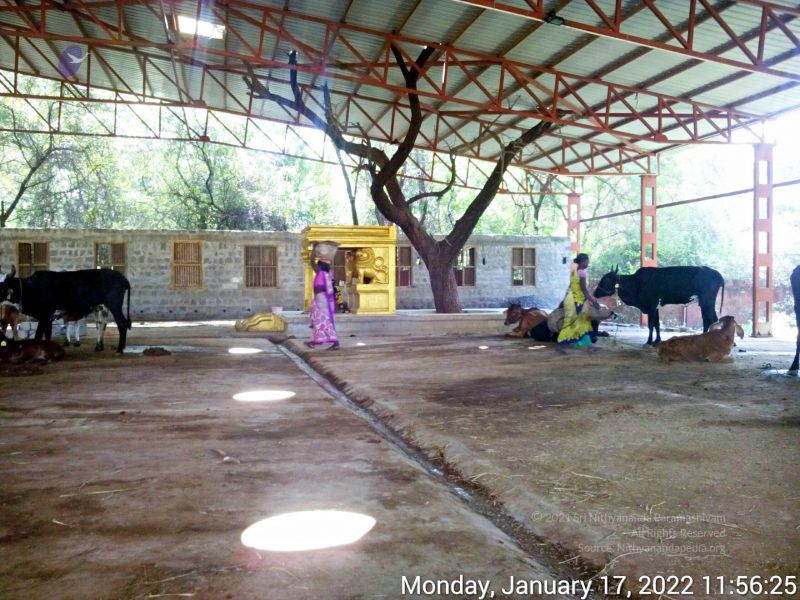 File:20220117 115625 11.jpg