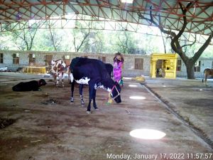 20220117 115757 11.jpg