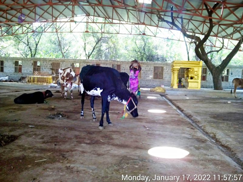 File:20220117 115757 11.jpg