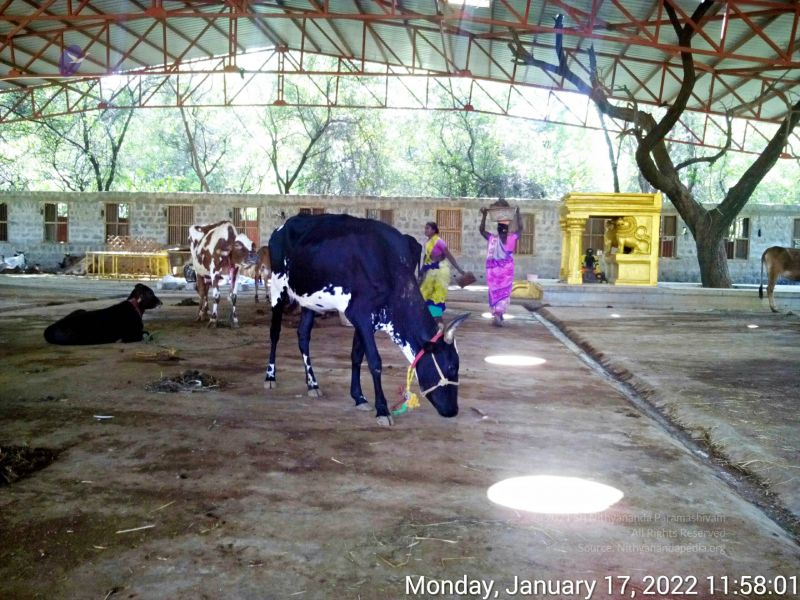 File:20220117 115801 11.jpg