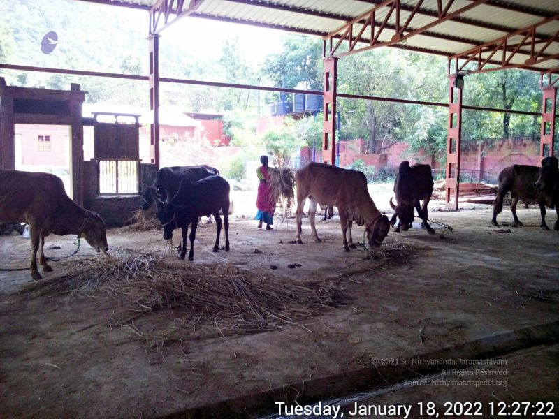 File:20220118 122721 11.jpg