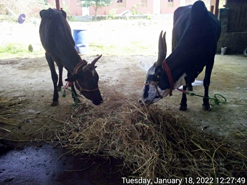 File:20220118 122748 11.jpg