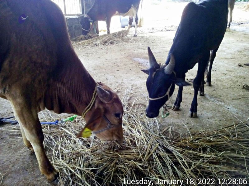 File:20220118 122806 11.jpg