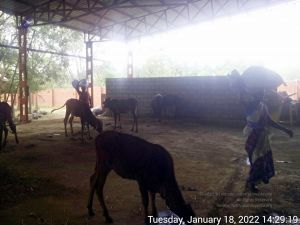 20220118 142919 11.jpg