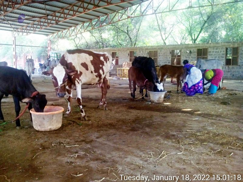 File:20220118 150118 11.jpg