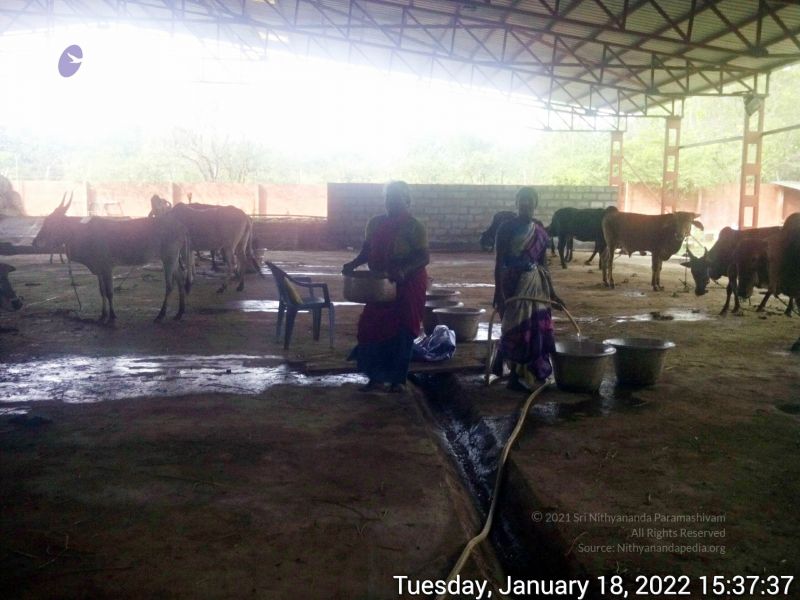 File:20220118 153737 11.jpg