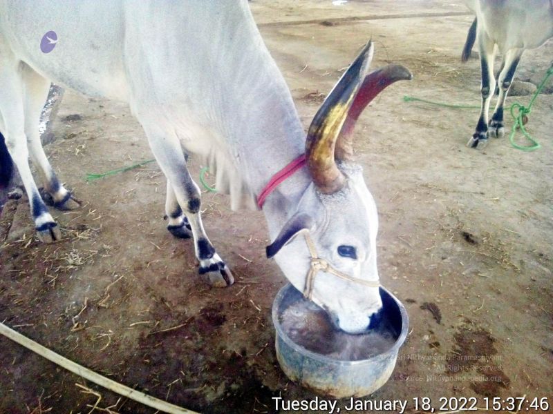 File:20220118 153746 11.jpg