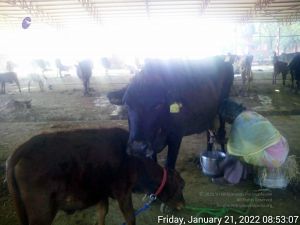 20220121 085307 11.jpg