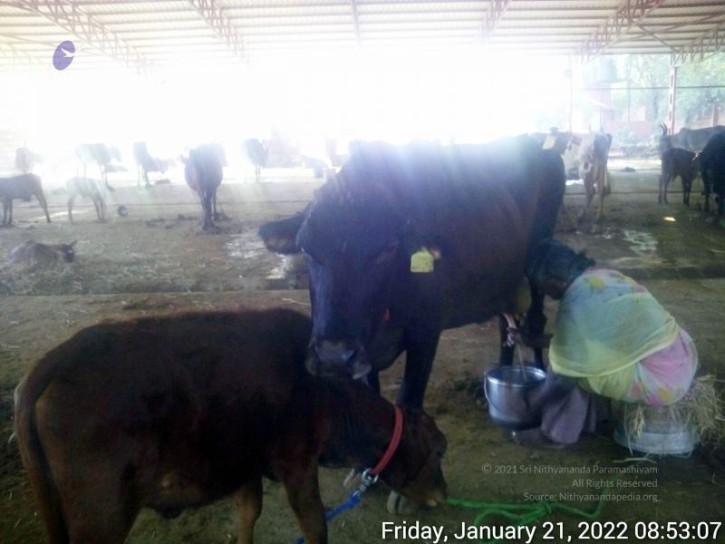 File:20220121 085307 11.jpg