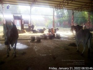 20220121 085345 11.jpg