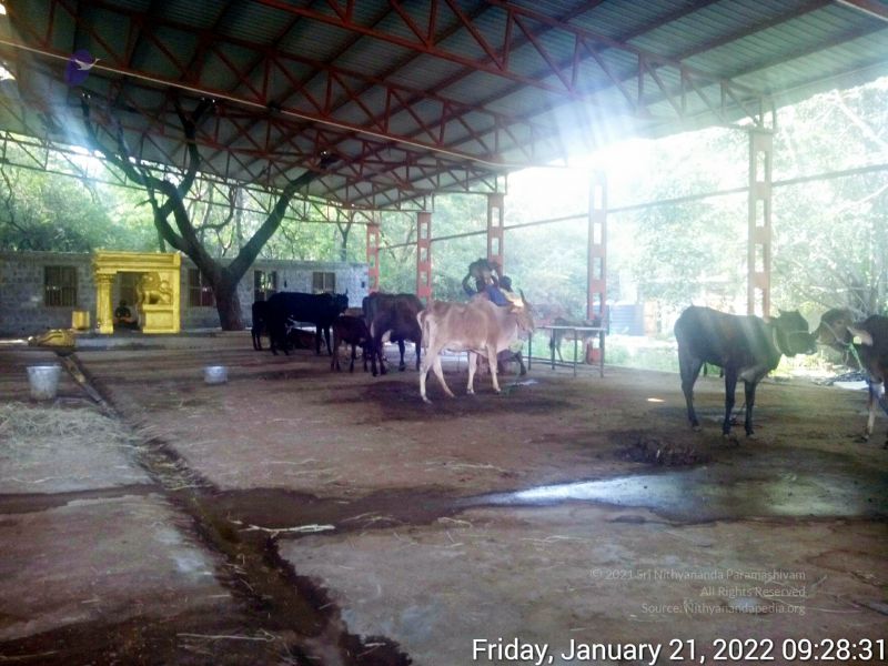 File:20220121 092830 11.jpg