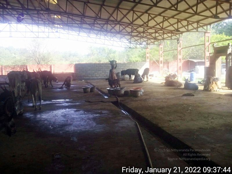 File:20220121 093743 11.jpg