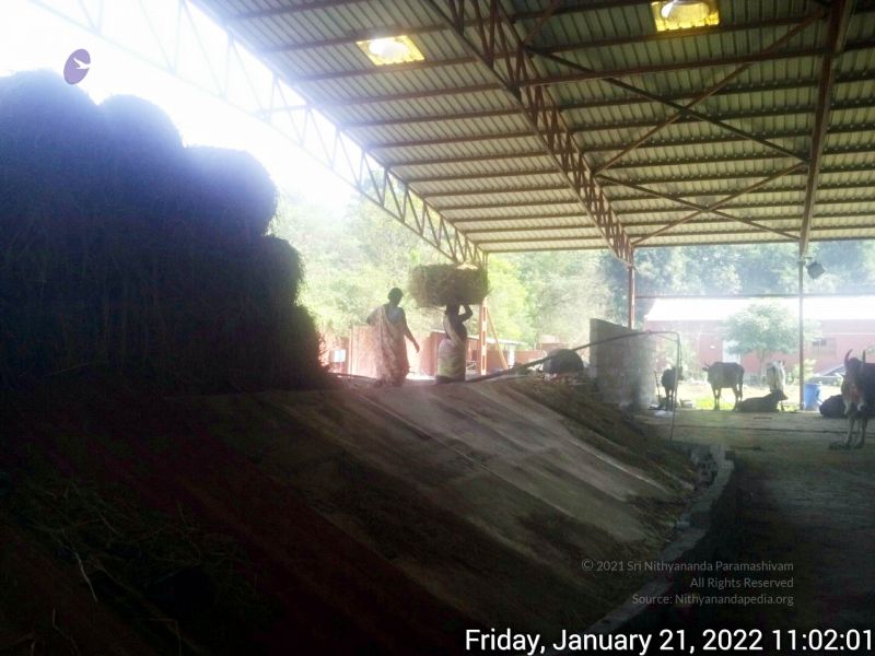 File:20220121 110200 11.jpg