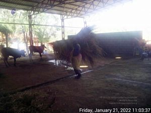 20220121 110336 11.jpg