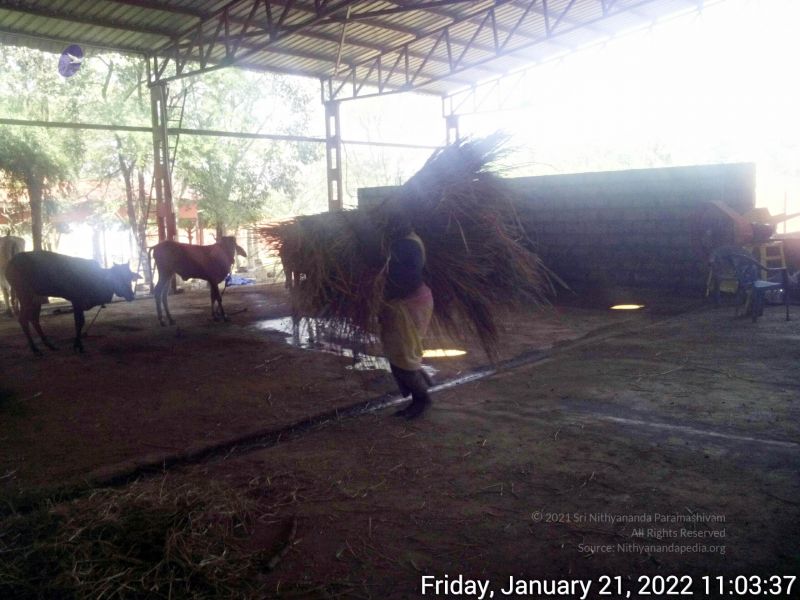 File:20220121 110336 11.jpg