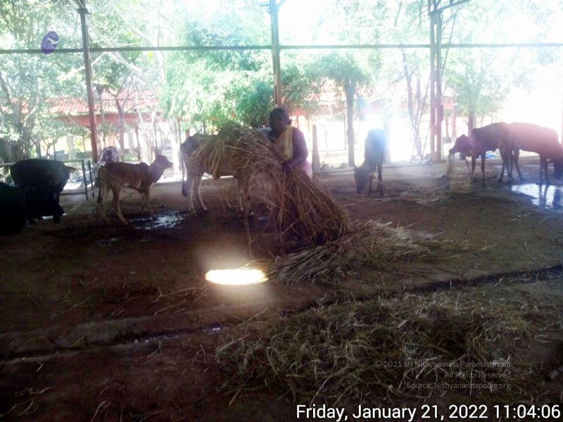 File:20220121 110406 11.jpg