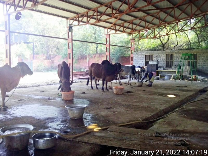 File:20220121 140718 11.jpg