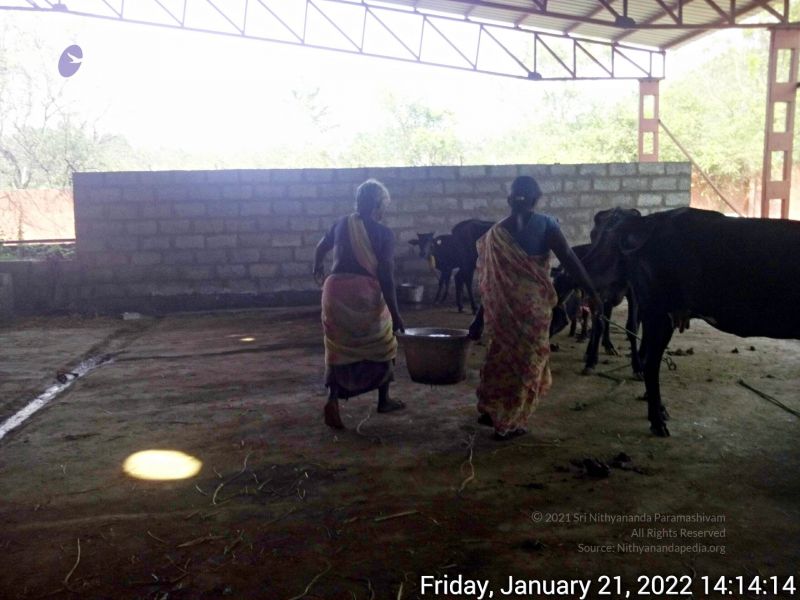 File:20220121 141414 11.jpg