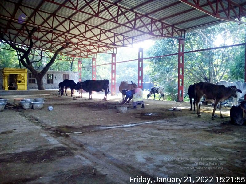 File:20220121 152154 11.jpg