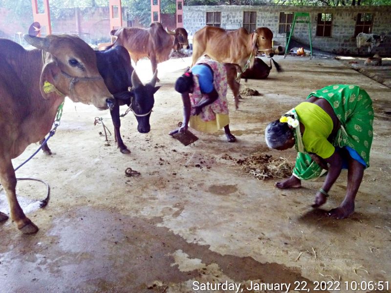 File:20220122 100650 11.jpg