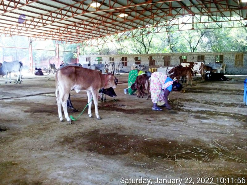 File:20220122 101156 11.jpg