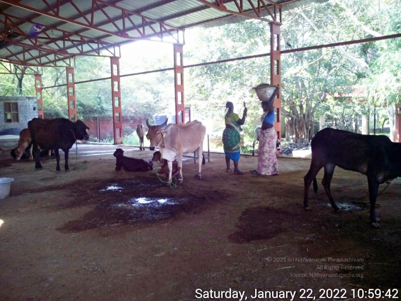 File:20220122 105942 11.jpg