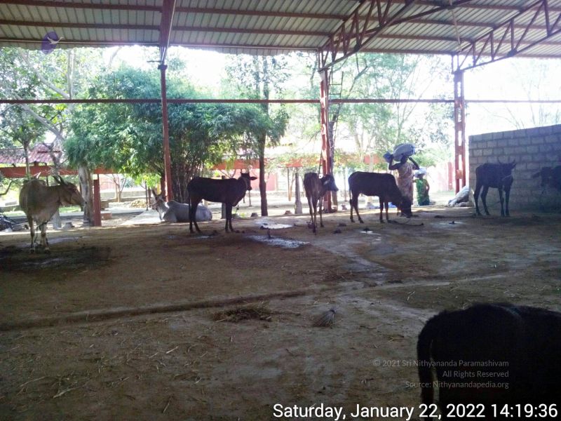 File:20220122 141936 11.jpg