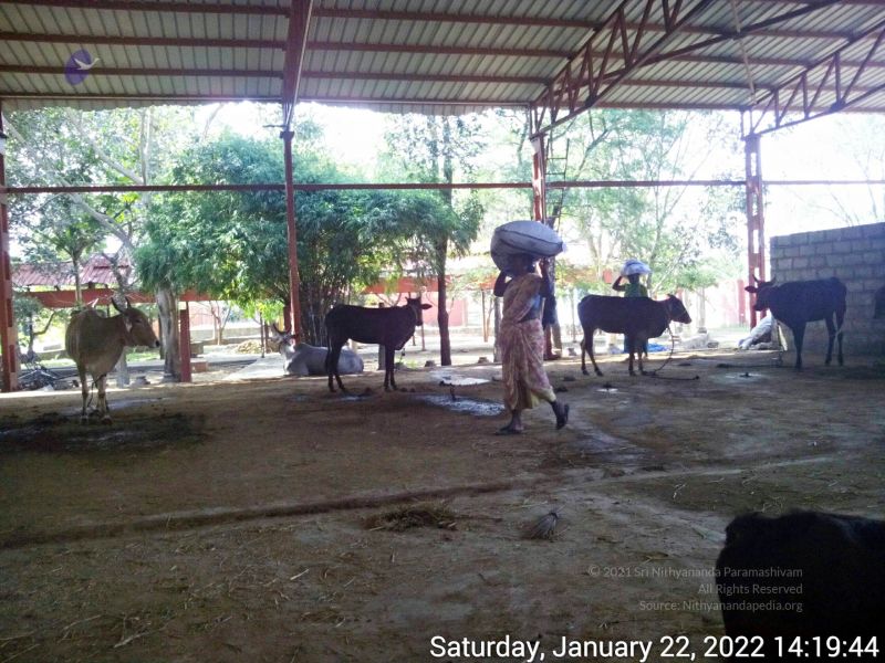 File:20220122 141944 11.jpg