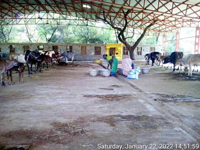 File:20220122 145158 11.jpg