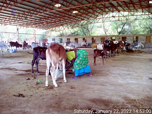 20220122 145259 11.jpg