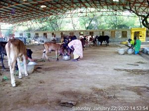 20220122 145354 11.jpg