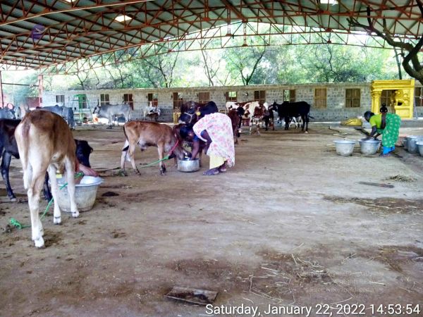 20220122 145354 11.jpg