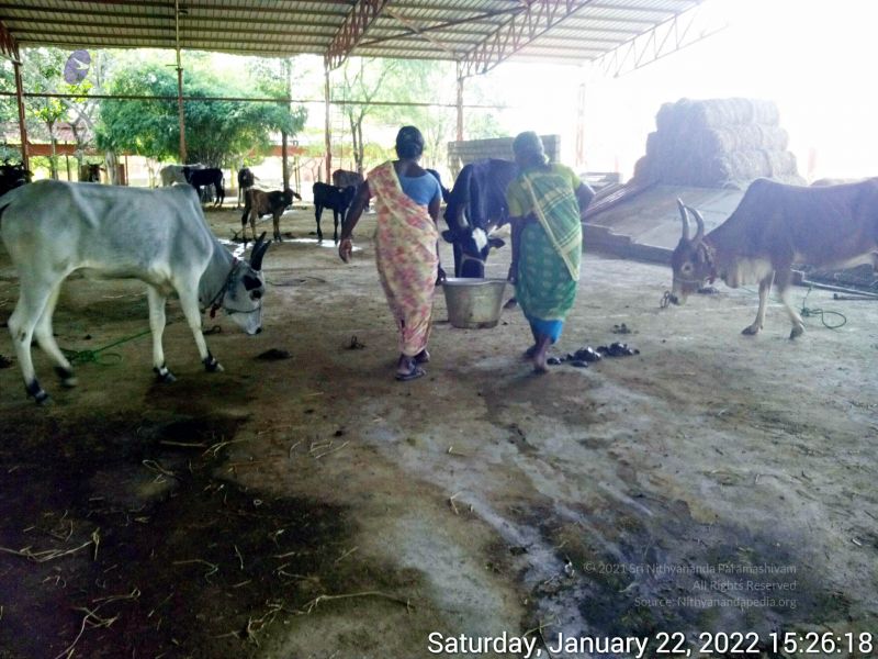 File:20220122 152617 11.jpg