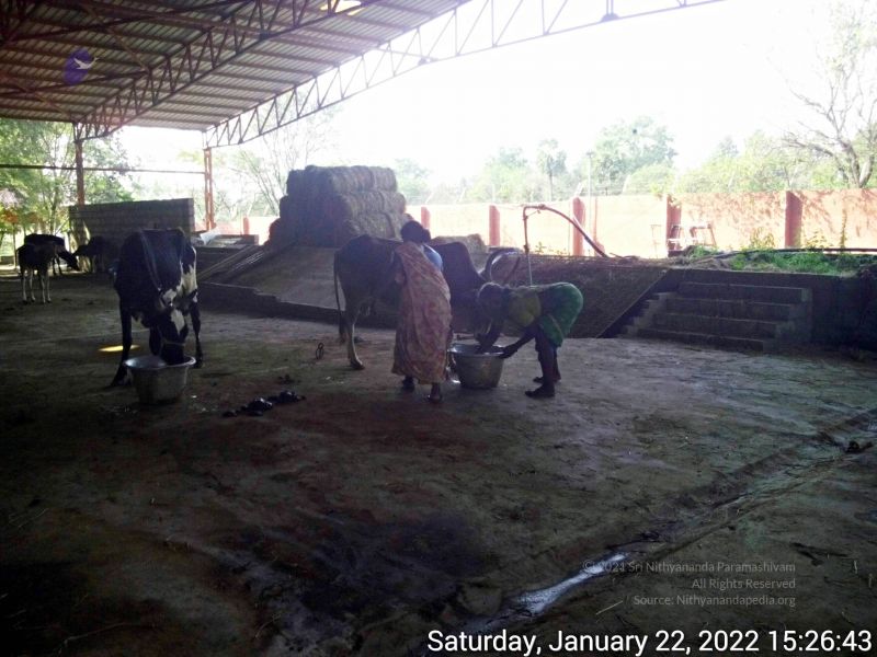 File:20220122 152643 11.jpg