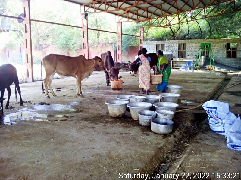 File:20220122 153320 11.jpg