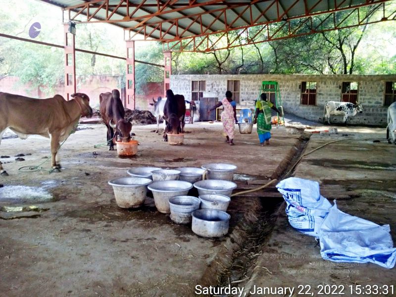 File:20220122 153330 11.jpg